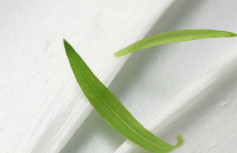 Глубокоочищающая пенка для умывания с салициловой кислотой Blithe Anti-Polluaging Pore Cleansing Foam
