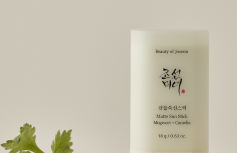 Себорегулирующий солнцезащитный стик с экстрактом полыни и зелёного чая Beauty of Joseon Matte Sun Stick Mugwort + Camelia SPF 50+ PA++++