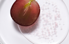 Веганская эссенция с ресвератролом Dr.Ceuracle Vegan Active Berry First Essence