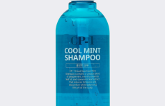 Охлаждающий шампунь с ментолом Esthetic House CP-1 Head SPA Cool Mint Shampoo