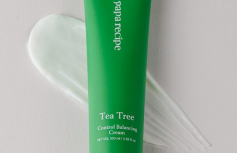 Успокаивающий крем для лица с экстрактом чайного дерева Papa Recipe Tea Tree Control Balancing Cream