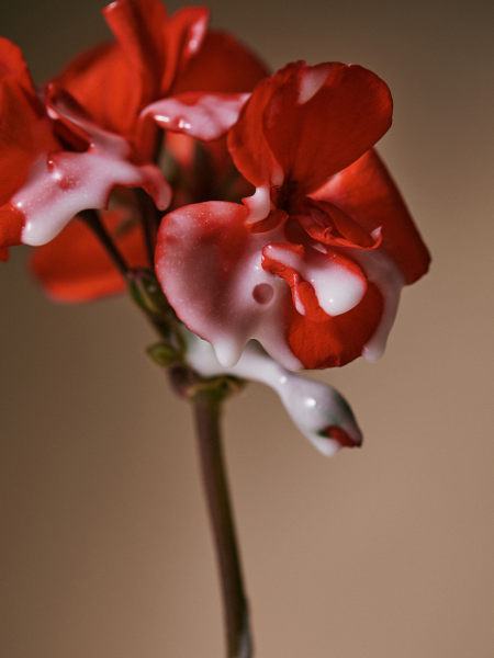 Сыворотка-спрей для поврежденных волос с пептидами Aromatica Quinoa Protein Hair Ampoule