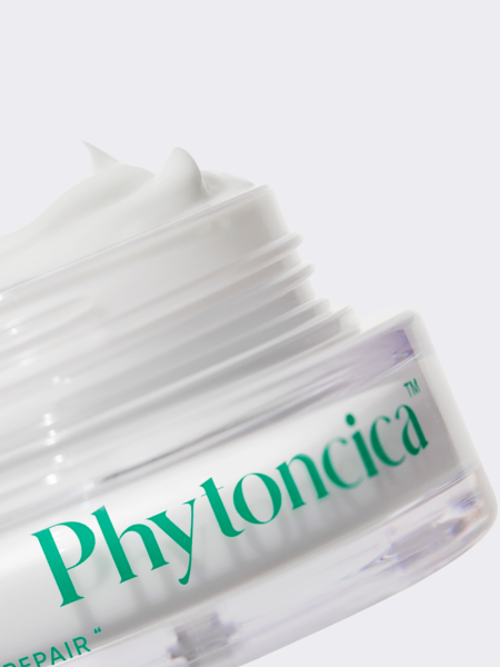 Восстанавливающий крем с экстрактом центеллы и керамидами AMUSE Phytoncica™ Eco Ceramide Cream Восстанавливающий крем с экстрактом центеллы и керамидами AMUSE Phytoncica™ Eco Ceramide Cream