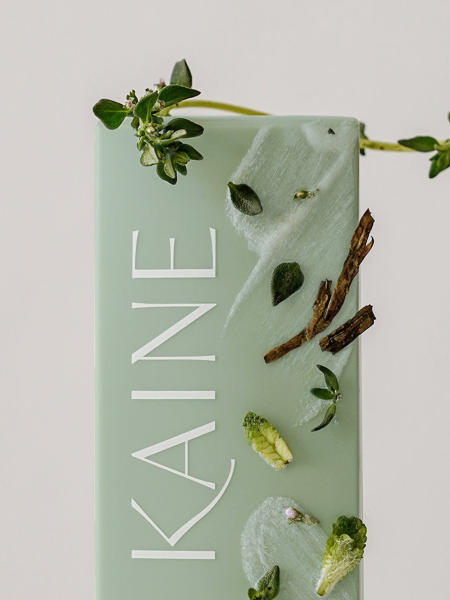 Солнцезащитный крем с экстрактом бамбука KAINE Green Fit Pro Sun SPF50+PA++++ Солнцезащитный крем с экстрактом бамбука KAINE Green Fit Pro Sun SPF50+PA++++