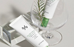 Солнцезащитный крем с чайным деревом, маскирующий покраснения Dr.Ceuracle Tea Tree Purifine Green Up Sun SPF50+ PA++++