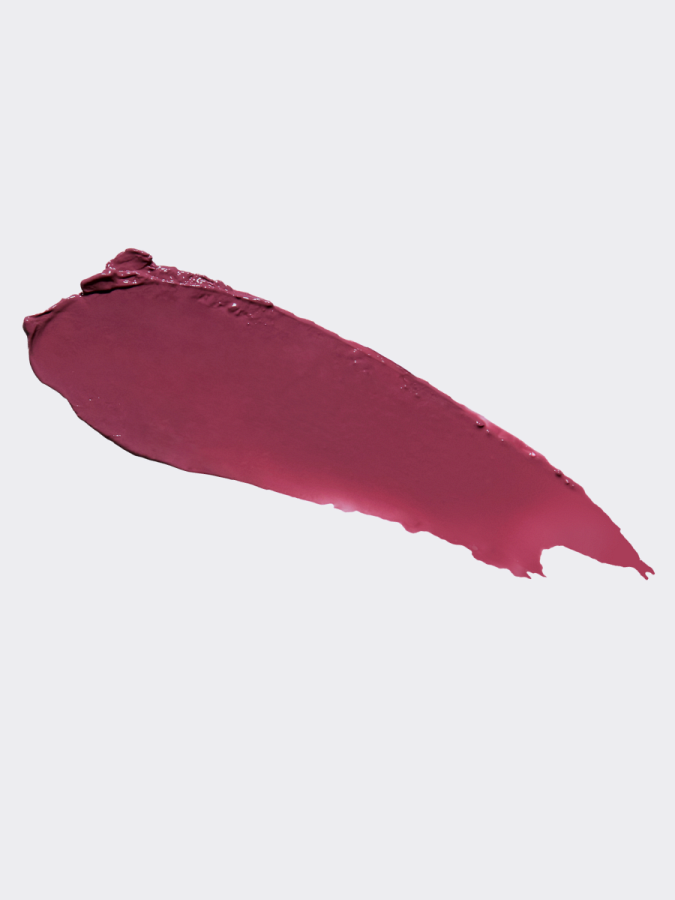 Многофункциональный оттеночный бальзам-слайдер для губ BRAYE Lipsleek 06 Plucky