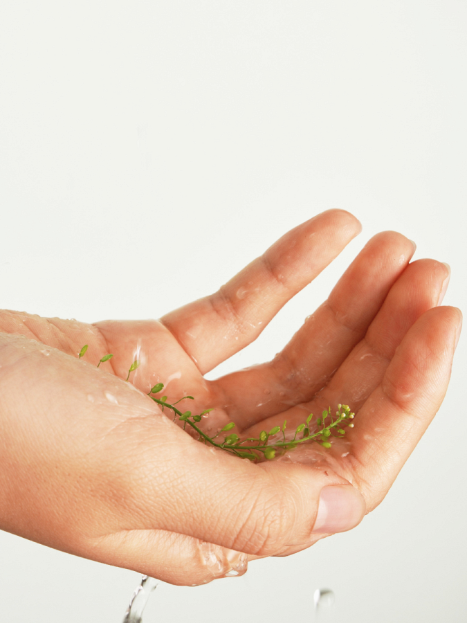 Успокаивающий тонер с экстрактом хауттюйнии Fraijour Heartleaf Blemish Toner