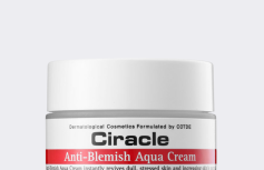 Увлажняющий крем для проблемной кожи Ciracle Anti Blemish Aqua Cream