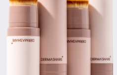 Тональный крем-стик для лица в оттенке слоновой кости DERMASHARE Vegan Natural Cover Stick Foundation 21 Ivory