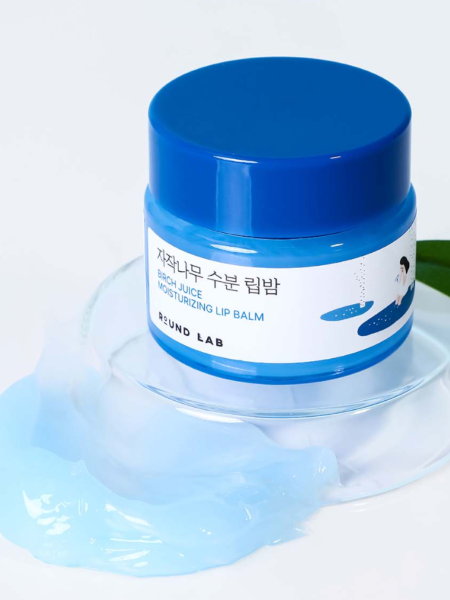 Набор: Увлажняющий бальзам для губ с берёзовым соком + кисть Round Lab Birch Juice Moisturizing Lip Balm