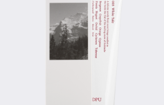 Парфюмированный крем для рук DPU Moisture Perfume Hand Cream White Tale