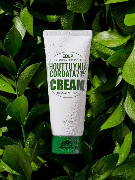 Успокаивающий крем для лица с экстрактом хауттюйнии Derma Factory Houttuynia Cordata 71% Cream