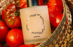 Парфюмированный гель для душа со скрабирующими частичками Fountain of Waters Tomato Garden Body Wash