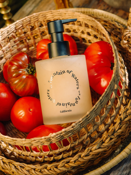 Парфюмированный гель для душа со скрабирующими частичками Fountain of Waters Tomato Garden Body Wash Парфюмированный гель для душа со скрабирующими частичками Fountain of Waters Tomato Garden Body Wash