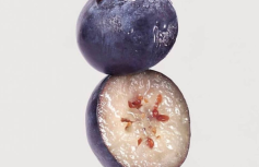 МИНИ Увлажняющий крем с черникой FRUDIA Blueberry Hydrating Cream