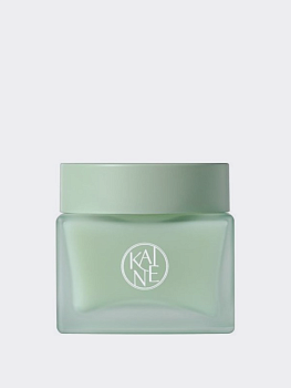 Успокаивающий гель-крем для лица с растительными экстрактами KAINE Green Calm Aqua Cream