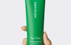 Успокаивающий крем для лица с экстрактом чайного дерева Papa Recipe Tea Tree Control Balancing Cream