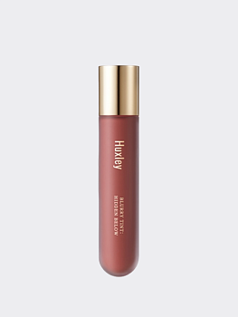 Влажный пигмент для губ с бархатным финишем Huxley Blurry Tint Hidden Below 06 Terracotta Brick