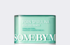 Праймер-стик для сужения пор с экстрактом спирулины и ПДРН Some By Mi PDRN Spirulina Poreless Primer