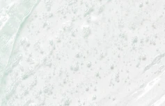 Освежающий гель для умывания с экстрактом зелёной сливы Beauty of Joseon Green Plum Refreshing Cleanser