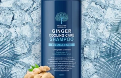 Охлаждающий шампунь с экстрактом мяты и имбиря Char Char Argan Oil Ginger Cooling Care Shampoo