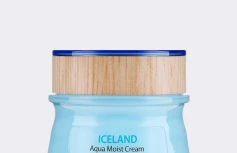 Увлажняющий крем для лица с ледниковой водой The Saem Iceland Aqua Moist Cream