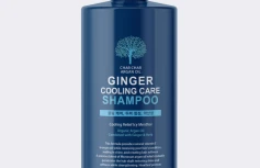 Охлаждающий шампунь с экстрактом мяты и имбиря Char Char Argan Oil Ginger Cooling Care Shampoo