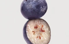 МИНИ Интенсивно увлажняющий крем с черникой FRUDIA Blueberry Intensive Hydrating Cream