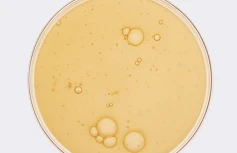 Обновляющая эссенция для лица с экстрактом женьшеня Fraijour Alchemic Ginsenoside Watery Essence Обновляющая эссенция для лица с экстрактом женьшеня Fraijour Alchemic Ginsenoside Watery Essence