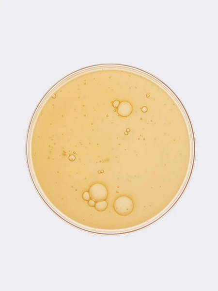 Обновляющая эссенция для лица с экстрактом женьшеня Fraijour Alchemic Ginsenoside Watery Essence Обновляющая эссенция для лица с экстрактом женьшеня Fraijour Alchemic Ginsenoside Watery Essence