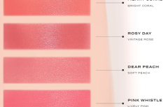 Вельветовый тинт для губ FEEV Hyper-Fit Color Wear Rosy Day