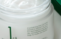 Успокаивающий крем для лица с экстрактом центеллы и пептидами Dermashare First Cica Peptide Soothing Cream